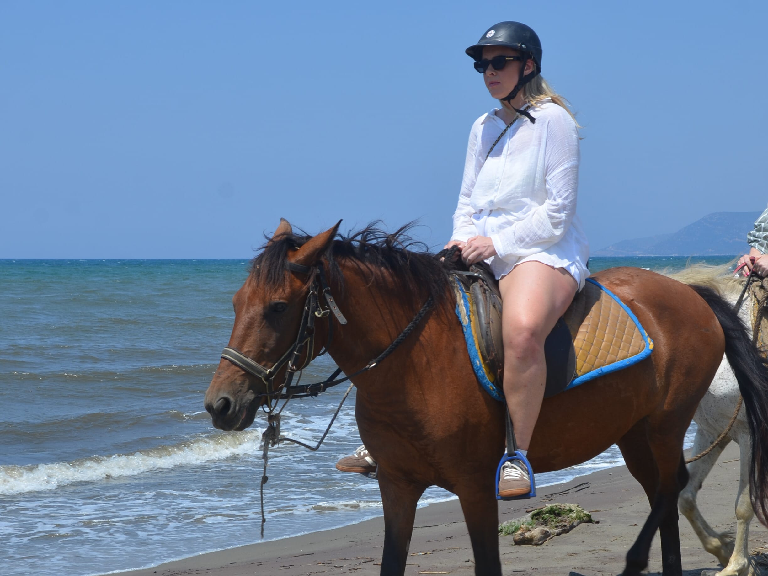 Horse Safari