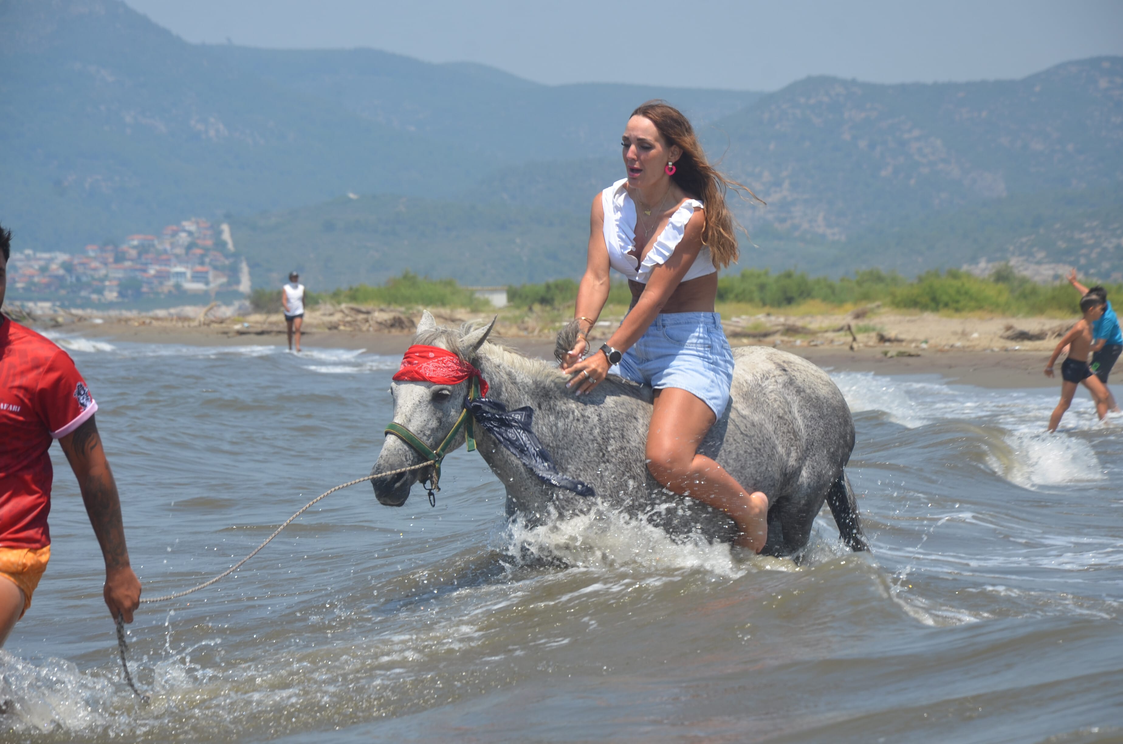 Horse Safari